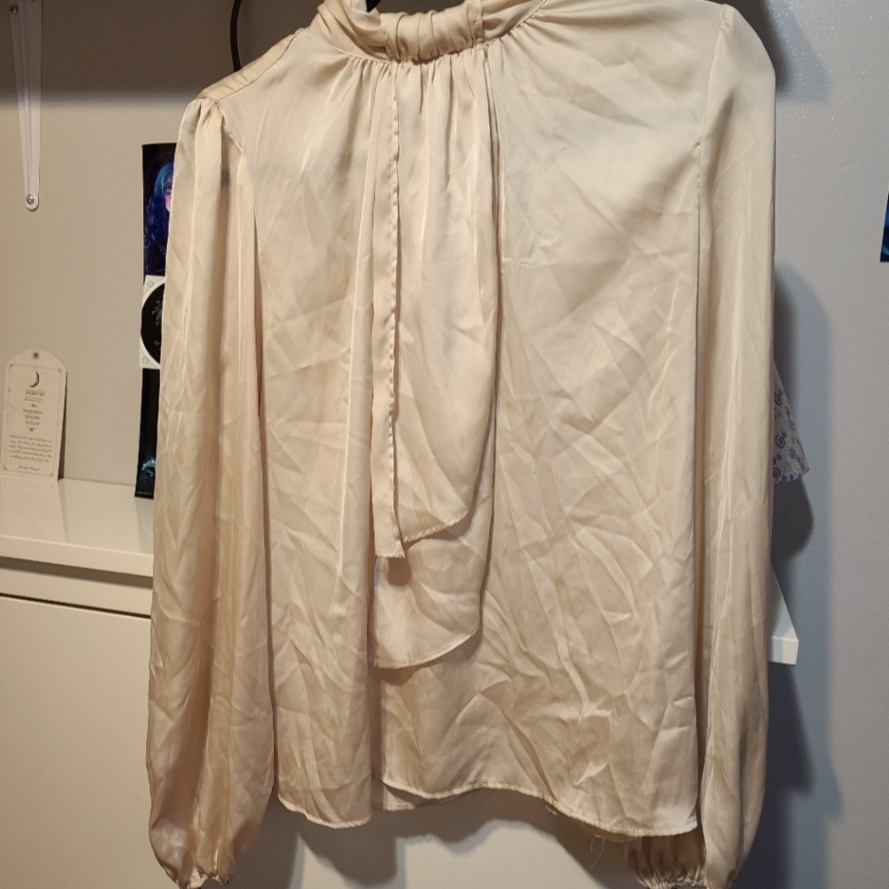 Sheer baige blouse